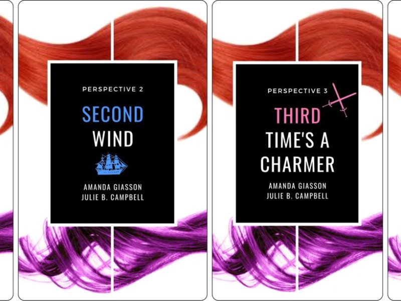 Perspective Book Series: A Spoiler-Free&nbsp;Summary