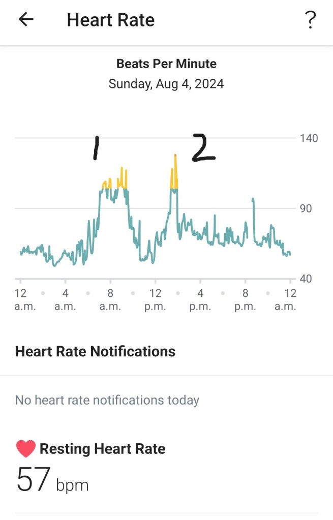 Fitbit heart rate graph from the day I skydived